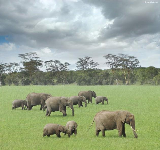 Kenya
