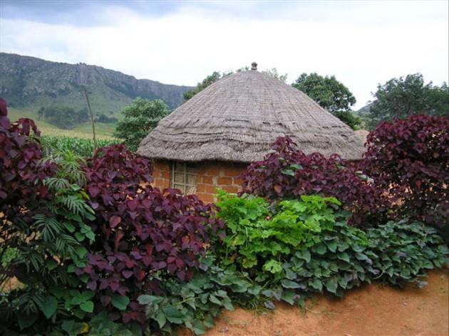 Svaziland