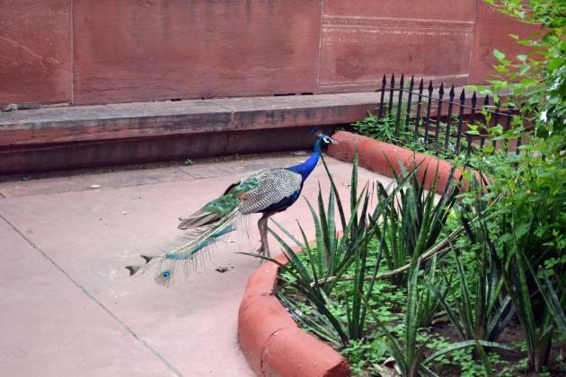  İngiliz Krallığı idaresindeki Hindistan&rsquo;ın başkenti Yeni Delhi&rsquo;nin bir par&ccedil;ası olarak dizayn edilmiş.