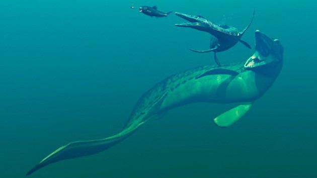 Pliosaurus funkei adı verilen ve 150 milyon yıl önce yaşamış olan canlı yaklaşık 12 metre boyundaydı ve sadece kafatasının uzunluğu 2 metre geliyordu.