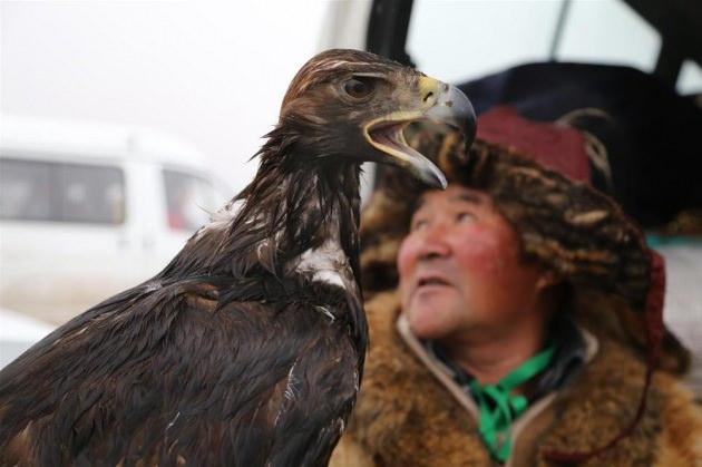 Başkent Astanaya 30 kilometre uzaklıktaki Balkaray'da yapılan festivalde, avcılar tarafından y&ouml;nlendirilen 60 eğitimli kartal, serbest bırakılan tilki yavrusu ve tavşanları yakalamaya &ccedil;alıştı.