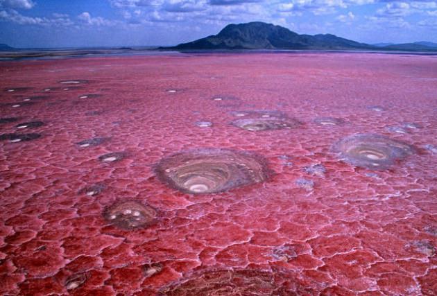 <p><strong>Natron Gölü</strong></p>
<p>Tanzanya, Afrika'da bulunan Natron Gölü Dünya'nın en ilginç göllerinden biri olabilir. Natron Gölü'nün pH (asit/baz) değeri 10.5 civarındadır ve bu, çok yüksek bazik (alkalin) ortam demektir. Bu pH değeri, suya civardaki tepelerden dolan sodyum karbonat ve benzeri minerallerden ötürü kazanılmaktadır. Özellikle sodyum karbonat, Antik Yunan'da mumyalama için de kullanılan bir kimyasal olarak, göl içerisinde veya civarında ölen hayvanların vücutlarını ilginç şekillerde, öldükleri ve kısmen çürüdükleri halde korumaktadır.</p>