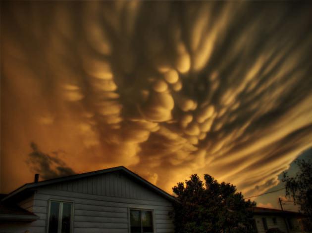 <p><strong>Mammatus Bulutları</strong></p>
<p>Mammatus bulutlarının adı latin alfabesindeki "meme" ve "göğüs" anlamına gelen kelimeler türetilerek oluşturulmuştur.</p>