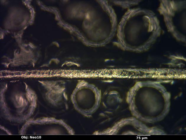 <p>Almanya’nın Hamburg kentinde 27 – 29 Haziran tarihlerinde yapılacak Olağanüstü Donanım Yazılım Fuarı (EHSM 2014)'e hazırlanan M-Labs firması, insan saçı teli üzerine sadece mikroskopla okunabilen ‘Juana Gezegeni Örüyor’ adlı çizgi romanı 'dokudu'.</p>