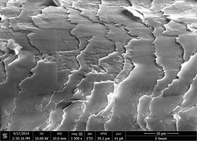 <p>Çizgi romanda küçük bir kızın müzik yapmak için çeşitli aletleri bir araya getirmesi anlatılıyor. 12 sayfanın her biri 20 mikrometre genişliğinde. Sébastien Bourdeauducq, saç teline çizgi roman basma fikrini, tek karbon atomlarını kullanarak dünyanın atomik seviyedeki en küçük filmini çeken IBM’den aldığını belirtiyor. ‘Bir Çocuk ve Atomu’ adlı verilen 60 saniyelik film, 242 kareden oluşuyordu. Filmin her bir karesi ise 50 atom genişliğinde. İnsan saçının teli ise yaklaşık 1 milyon atom genişliğinde.</p>