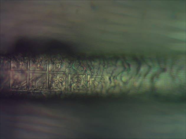 <p>Hamburg’daki fuarın, dünyanın her yerinden teknoloji meraklılarını bir araya getireceği belirtiliyor.</p>