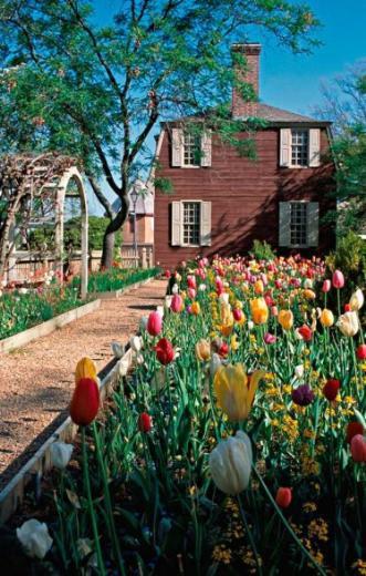 26. Colonial Houses, Williamsburg ABD  Puanı:96.6