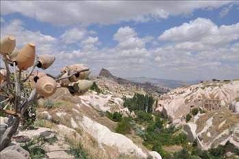 Nevşehir Boşanma sayısı:   172