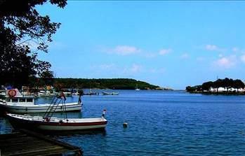 Sinop Boşanma sayısı:   88