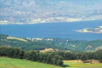 Tokat Boşanma sayısı:   197