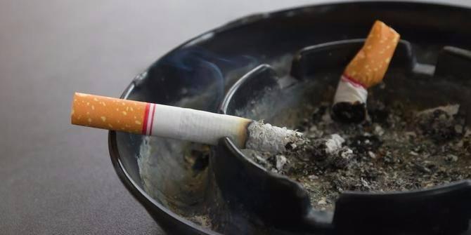 <p>Kılcal damarları tıkadığı için nörotransmitterlerin üretilmesine engel olur ve işlevini engeller...</p>