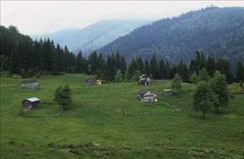 Trabzon Boşanma sayısı:  178
