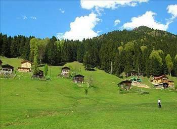 Rize Boşanma sayısı:    73