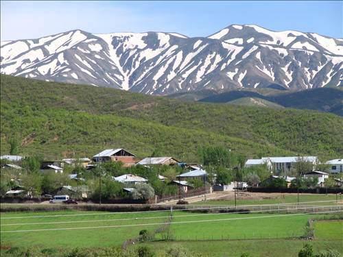 Bingöl Boşanma sayısı:   25