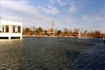 Kilis  Boşanma sayısı:  43