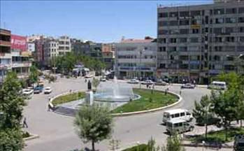 Siirt Boşanma sayısı:    21