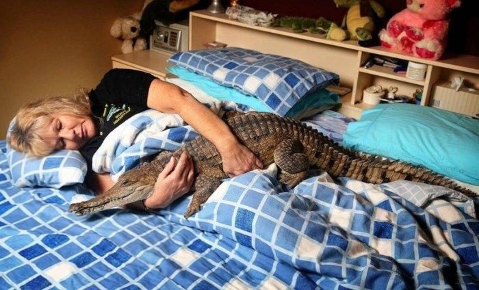 <p>John ismini verdiği bu tatlısu timsahı ile aynı evi paylaşan Vicki Louing, onunla vakit geçirmeyi sevdiğini dile getiriyor...</p>

<p> </p>
