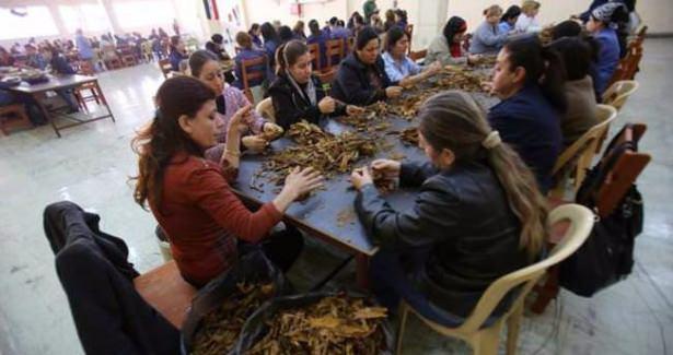 <p>İç savaşın sürdüğü Suriye'nin Lazkiye bölgesinde puro üretilmeye başlandı.</p>

<p> </p>
