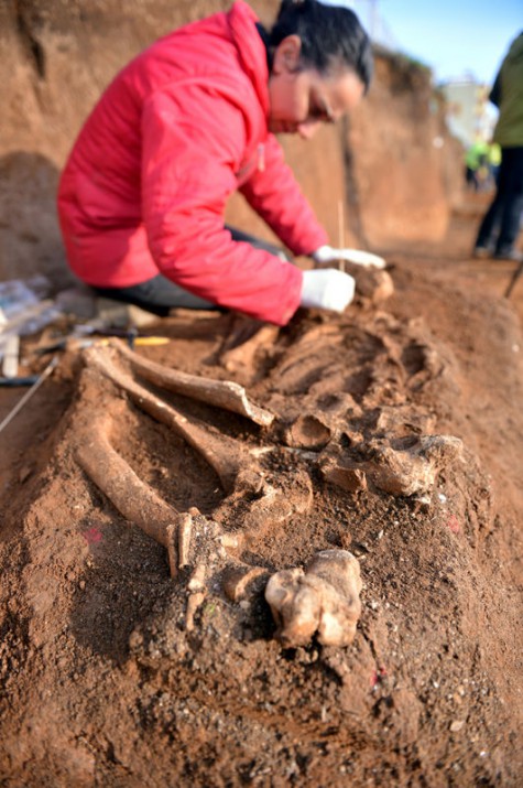 Pendik'teki demiryolu kazıları sırasında bulunan yerleşim yerinde, Neolitik Dönem (Taş Devri) izlerine rastlandı.