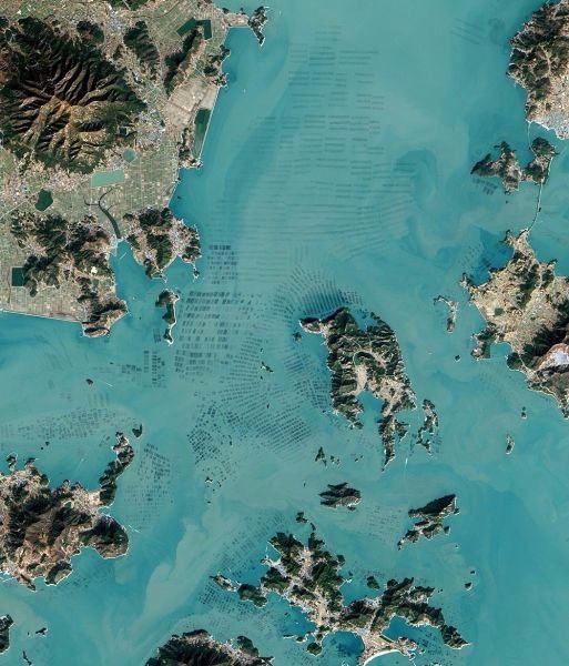 <p>Güney Kore'de yosun tarımı</p>

<p> </p>
