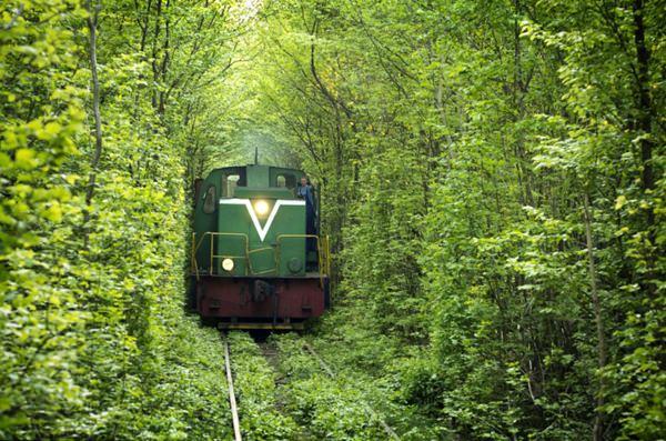 <p>Özel mülkiyete ait demir yolu, Klevan şehri yakınlarındaki kereste fabrikasına günde üç defa yük taşınmasında kullanılıyor.</p>

<p> </p>
