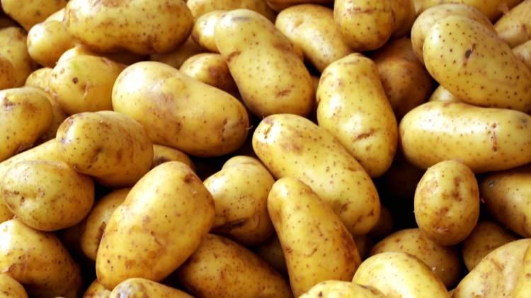<p>Patates</p>
