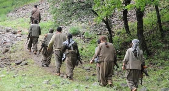 <p>PKK, Heron uçuşlarının çekilmeyi geciktirdiğini iddia ediyor. Askeri kaynaklar ise ‘Bölgede bir haftadır insansız hava aracı uçmuyor’ diyor.</p>