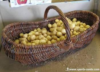 <p>Neredeyse yok olma sınırına gelen bu patatesin kilosu 5 bin euro’yu buluyor.</p>