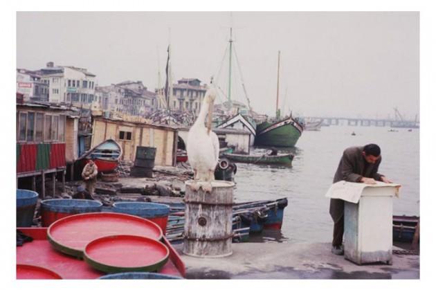 <p>Indiana Üniversitesi, Charles W. Cushman fotoğraf koleksiyonundan eski İstanbul fotoğrafları çıktı. Günümüze kıyasla daha tenha görülen İstanbul'un bu fotoğrafları 1965 yılında çekilmiş.</p>