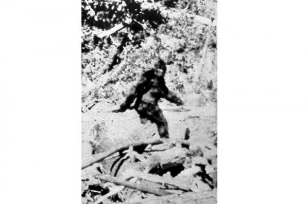 Koca Ayak Efsanesi ABD'de 1958 yılında 48-55 numara b&uuml;y&uuml;kl&uuml;ğ&uuml;nde ayak izleri g&ouml;rmesiyle başlayan, 1967 yılında bu g&ouml;r&uuml;nt&uuml;lerle b&uuml;y&uuml;yen tartışma daha sonra bu g&ouml;r&uuml;nt&uuml;n&uuml;n 'koca ayak' filminde kullanılan bir k&ouml;st&uuml;m olduğu iddiasıyla s&uuml;r&uuml;yor...2008 yılında ise ABD&rsquo;de iki profesyonel kocaayak avcısı efsanevi yaratığın cesedini bulduklarını a&ccedil;ıkladı. Yapılan DNA testlerinde ger&ccedil;ek ortaya &ccedil;ıktı. Kocaayak cesedinin kau&ccedil;uktan bir kost&uuml;m olduğu a&ccedil;ıklandı.