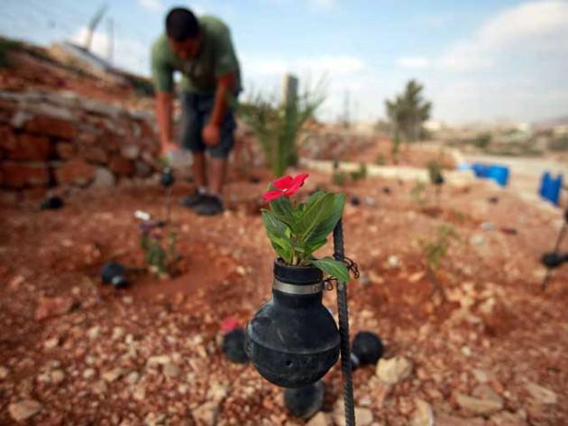 İsrail askerlerinin gaz bombalı m&uuml;dahalelerinden geriye kalan biber gazı kaps&uuml;llerini saklayan k&ouml;y sakinleri, bu kaps&uuml;llerde &ccedil;i&ccedil;ek yetiştiriyor.