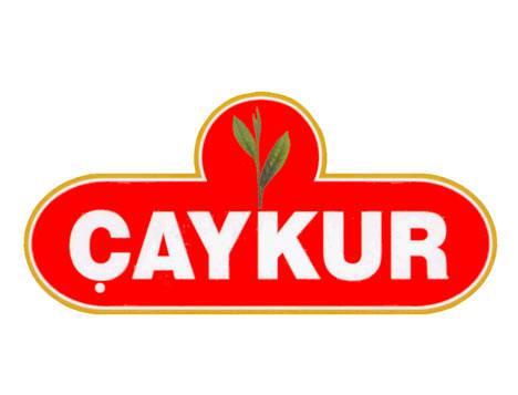 Çay İşletmeleri Genel Müdürlüğü (ÇAYKUR)  Toplam çalışan sayısı: 7.621  Kamu