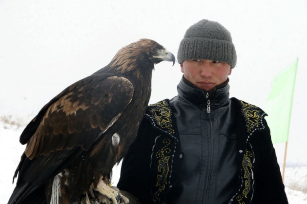 <p>Kazakistan’da avcı kartallar, sergiledikleri performanslarıyla nefes kesti. Almatı’da 1998 yılından bu yana her yıl geleneksel olarak düzenlenen yarışlara, bu yıl Kazakistan’ın 8 bölgesinden 30 kuşbegi (yarışmacı) katıldı.</p>
