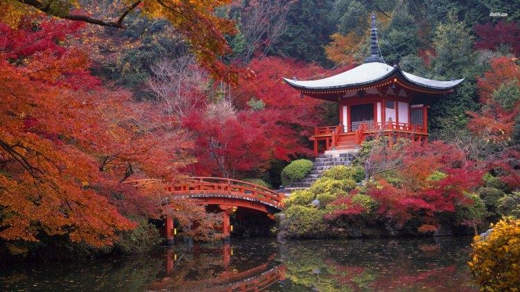 <p><strong>Kyoto, Japonya</strong></p>
<p>Bozulmamış kültürü ile <strong>Japon geleneklerini yakından </strong>tanıma imkanı sağlayan bu şehir, aynı zamanda ülkenin<strong> en önemli kültürel </strong>merkezlerinden biri.</p>