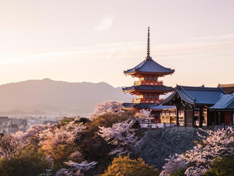<p>Muhteşem görsellikteki bahçeleri, <strong>doğası ve tapınakları </strong>ile Kyoto size unutamayacağınız bir deneyim yaşatacak.</p>
