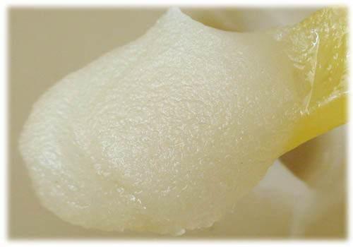 <p><span><strong>ARI SÜTÜNÜN İSPATLANMIŞ FAYDALARI -</strong> Kanserle mücadelede bütün dünya ile birlikte ülkemizde de yaygın olarak arı sütü kullanılmaktadır. Yapılan son çalışmalara göre arı sütü kürünün, kanserli hücrenin büyümesini yavaşlattığı ve kanser riski bulunan hastalarda kanser oluşumunu engellediği tespit edilmiştir. Uzmanlara göre yılda en az bir defa arı sütü kürü uygulamak kansere yakalanma riskini ciddi oranda azaltıyor.</span></p>