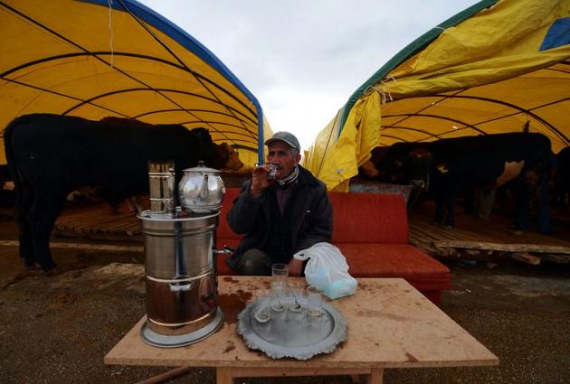 <p>Elektriksiz, susuz, tuvaletsiz ortamlarda kurbanlıklarla yaşayan satıcılar, saman balyalarını yatak olarak kullanıyor. Özellikle Ağrı, Kars, Muş, Bitlis gibi illerde yaylalarda yıllarca yetiştirip büyüttükleri hayvanları yurdun batı bölgesine getiren satıcılar, zorlu koşullar içinde emeklerinin karşılığını almaya çalışıyor.</p>