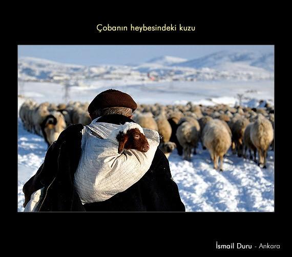 YAŞAM KATEGORİSİNDE ÖDÜL ALANLAR