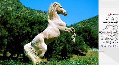 <p><strong>AT</strong><br /> “Nefsanî arzulara, (özellikle) kadınlara, oğullara, yığın yığın biriktirilmiş altın ve gümüşe, salma atlara, sağmal hayvanlara ve ekinlere karşı düşkünlük insanlara çekici kılındı. Bunlar, dünya hayatının geçici menfaatleridir. Halbuki varılacak güzel yer, Allah'ın katındadır.” (Al-i İmran / 14)</p>