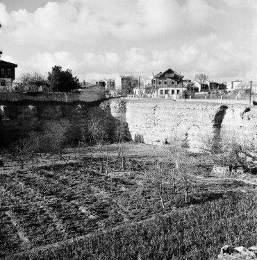 <p>Fildamı (1935 - Bakırköy - Nicholas V. Artamonoff )</p>