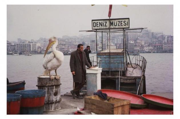 <p>Indiana Üniversitesi, Charles W. Cushman fotoğraf koleksiyonundan eski İstanbul fotoğrafları çıktı. Günümüze kıyasla daha tenha görülen İstanbul'un bu fotoğrafları 1965 yılında çekilmiş.</p>