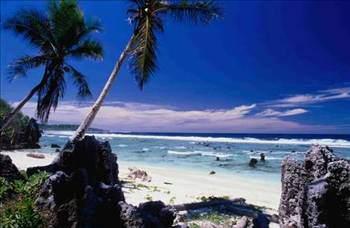Nauru merkezinde kuş atıklarından oluşan guano rezervleri vardır. Bu rezervler fosfat ve potasyum açısından zengindir. Kimyasallar adanın iktisadi kaynaklarının neredeyse tümünü oluşturur. Buradan sağlanan gelir sağlık, barınma ve eğitim harcamalarında kullanılır. Ancak guano neredeyse tükenmek üzeredir.Nauru, işsizlik oranı açısından %90 ile dünya rekorunu elinde tutmaktadır.