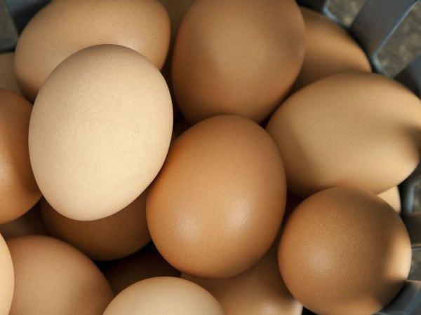 <p><strong>Yumurta</strong><br />Yıllarca yüksek kolesterolün müsebbibi diye düşünerek uzak durduğumuz yumurta aklandı, günde bir kaç yumurtanın bir zararı olmadığı ortaya çıktı. Yüksek protein değeri sayesinde yağ yakımına yardımcı olurken, içerdiği B12 vitamini sayesinde de yağ yıkımını hızlandırıyor.</p>