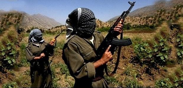 Dünyanın değişik bölgelerinde farklı amaç ve taleplerle silahlı direniş yürüten ya da terör eylemlerine başvuran gruplar, bazen müzakere masasında silah bırakmaya ikna oldu, bazıları askeri müdahaleyle durduruldu, kimileri de gerekçelerinin ortadan kalkması veya savundukları ideolojilerin tarihe karışması sonucunda mücadeleye son verdi.  Türkiye'de son dönemde terör örgütü PKK'nın silah bırakması için yürütülen çalışmalar, akıllara dünyanın çeşitli bölgelerinde yakın geçmişte yaşanan silahlı direniş hareketlerini ve bunların son bulma süreçlerini getiriyor.