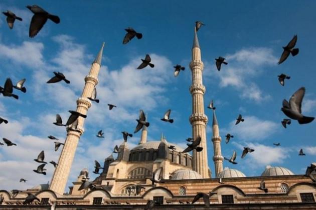 <p>Mark Edward Harris - Edirne</p>