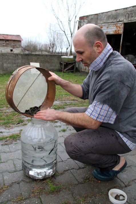 Samsun Gıda, Tarım ve Hayvancılık Müdürü Kadir Güven, AA muhabirine yaptığı açıklamada, Samsun'un sulak alanlarında özellikle "Hirudo Verbana" adı verilen sülük türünün yaşadığını, bu türün alternatif tıpta kullanıldığını söyledi.