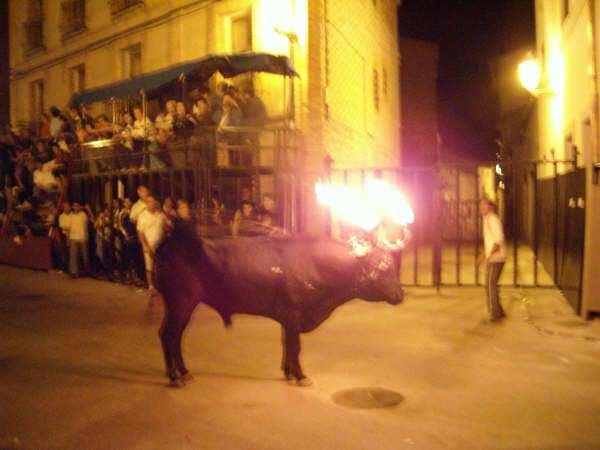 Boğa boynuzlarına yerleştirilen ateş toplarıyla bir kazığa bağlanıyor. Ateşten zarar g&ouml;rmesin diye boğanın v&uuml;cudu &ccedil;amurla sıvanıyor (bu ne kadar korur!) ve ardından boğa serbest bırakılıyor. Kuşkusuz bu acıyla &ccedil;ılgına d&ouml;nen boğanın ilk eylemi ateşten kurtulmaya &ccedil;alışırken seyircileri kovalamak oluyor.