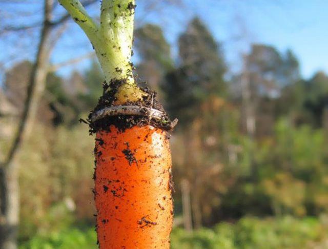 <p>1995 yılından beri kayıp olan evlilik y&uuml;z&uuml;ğ&uuml;n&uuml;n ortaya &ccedil;ıktığı yer.</p>

<p>&nbsp;</p>
