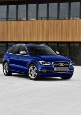 <p>Audi SQ5</p>