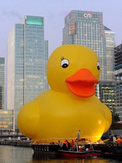 18.2 metre yüksekliğindeki dev plastik ördek Thames Nehri'nden geçerken eğlenceli dakikalar yaşattı. 8 kişilik ekibin 800 saat çalışarak ürettikleri plastik ördek insanları güldürme misyonunu üstlendi.